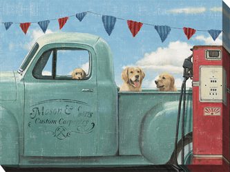 Go For A Ride Outdoor Canvas Wall Art