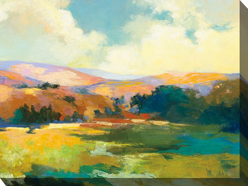 Valley Of Light Outdoor Canvas Wall Art