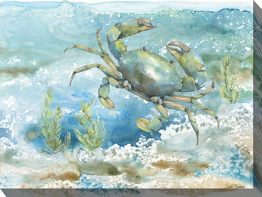 Sea Life Crab Outdoor Canvas Wall Art