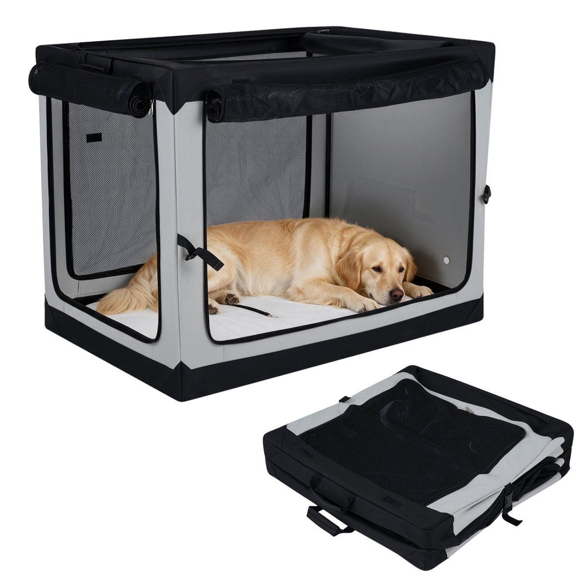 A golden retriever rests in the assembled crate beside the same crate folded flat.