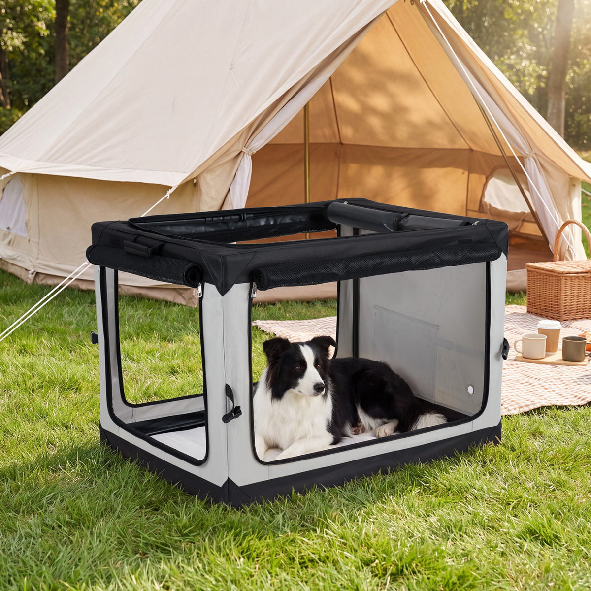 Black-and-gray mesh dog crate on grass beside a tent, with a black-and-white dog inside.