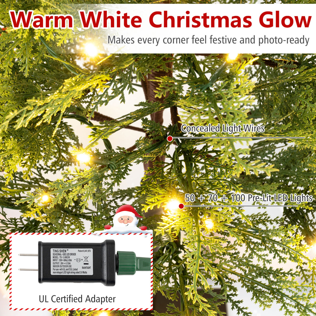 Pre-Lit Cypress Christmas Tree Set of 3 with 75 + 142 + 226 PE Branch Tips and 50 + 70 + 100 LED Lights