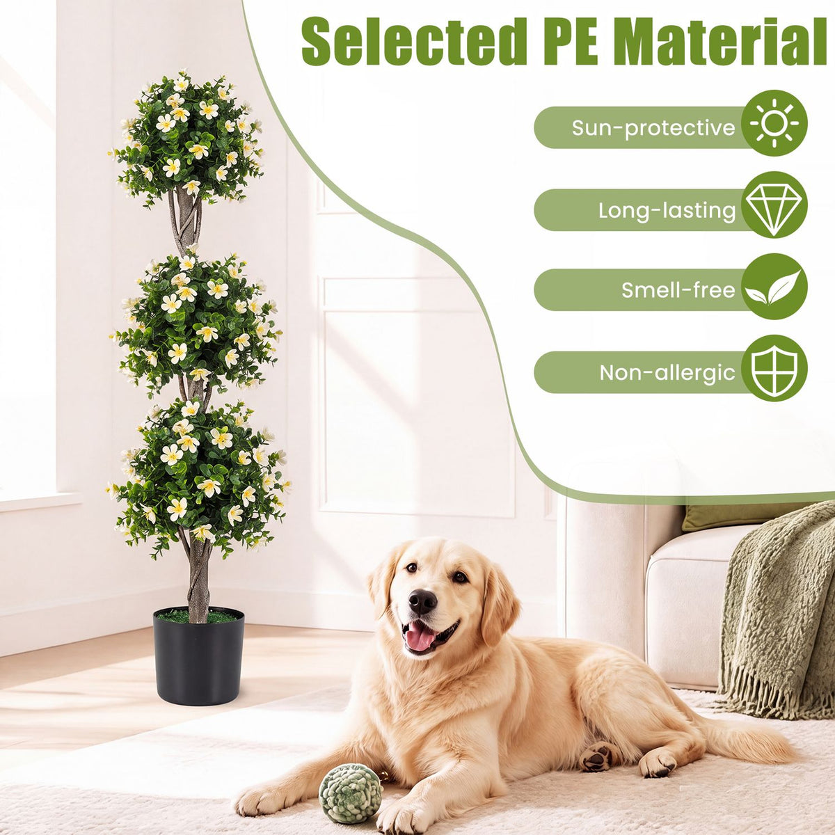 Green topiary tree with white flowers beside a dog in a bright living room