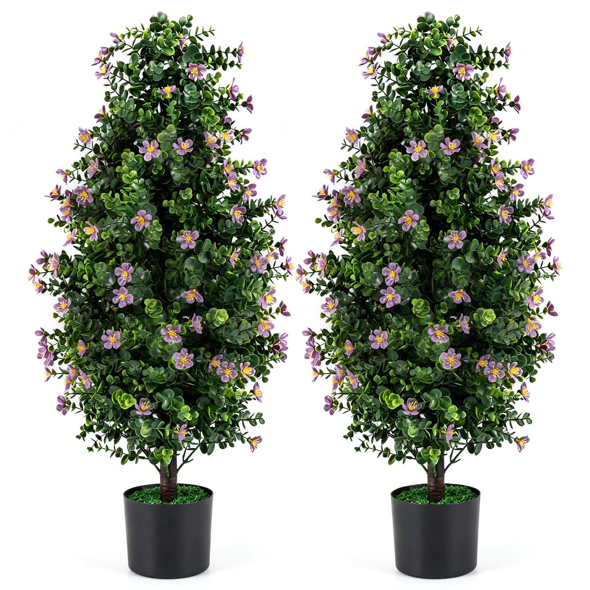 Pair of flowering topiary trees in black pots against a white background.