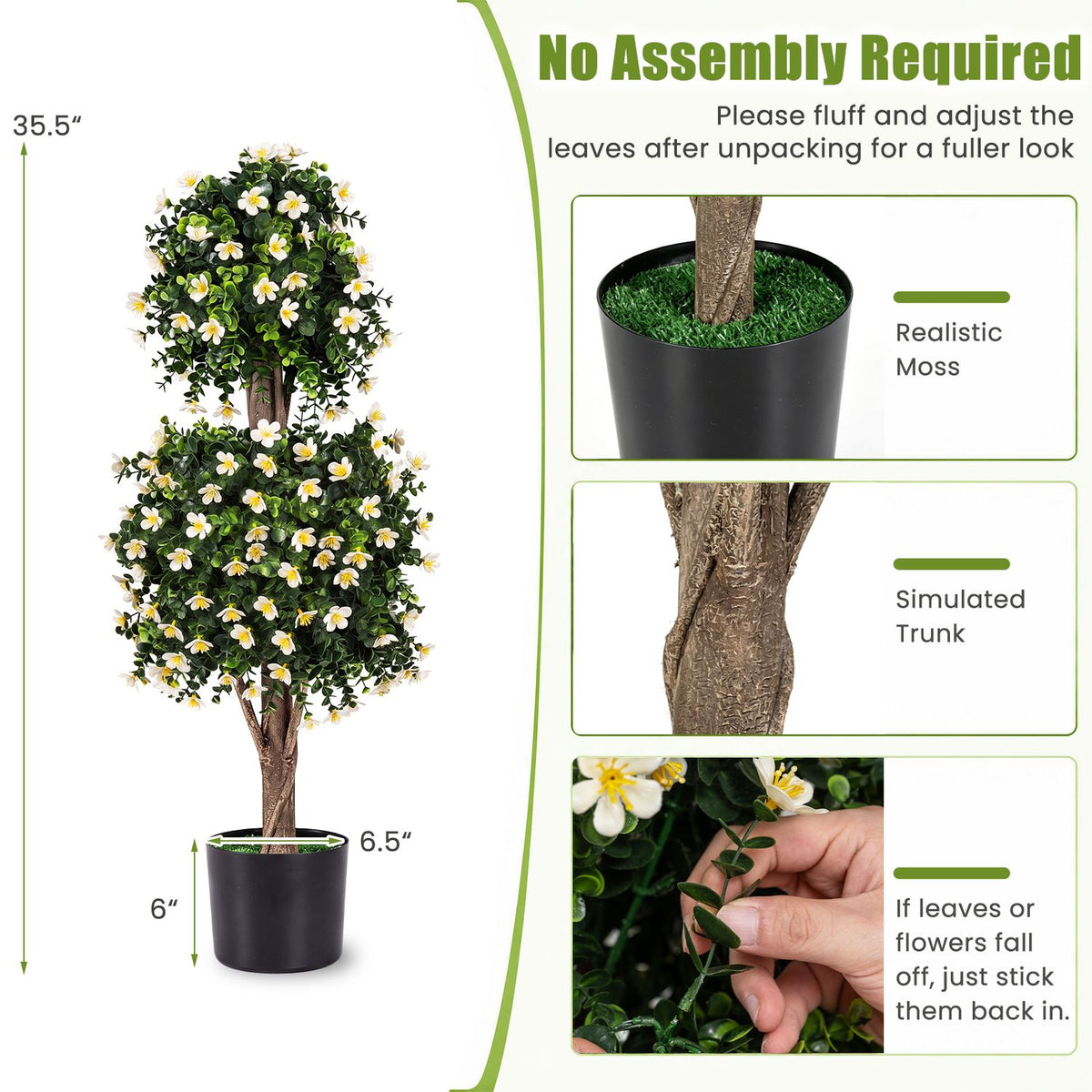 A single potted topiary shown with close-up insets of its pot, trunk, and foliage.