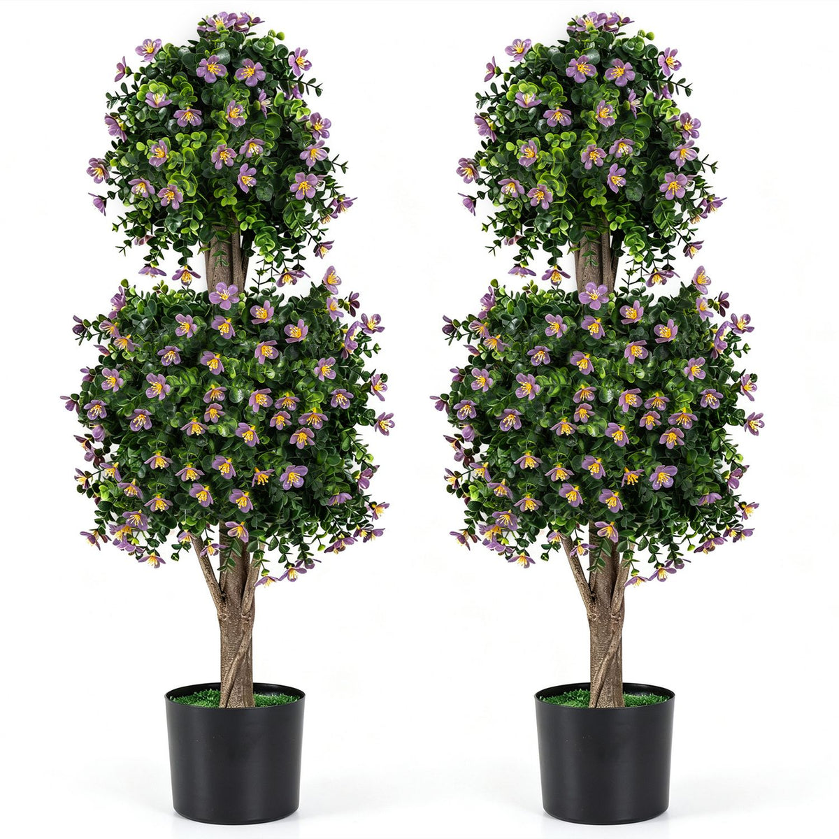Pair of flowering topiary trees with two rounded foliage sections, shown in black pots against white.
