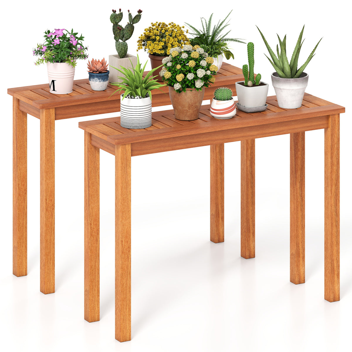 Two wooden plant stands displayed at different heights with assorted potted plants.