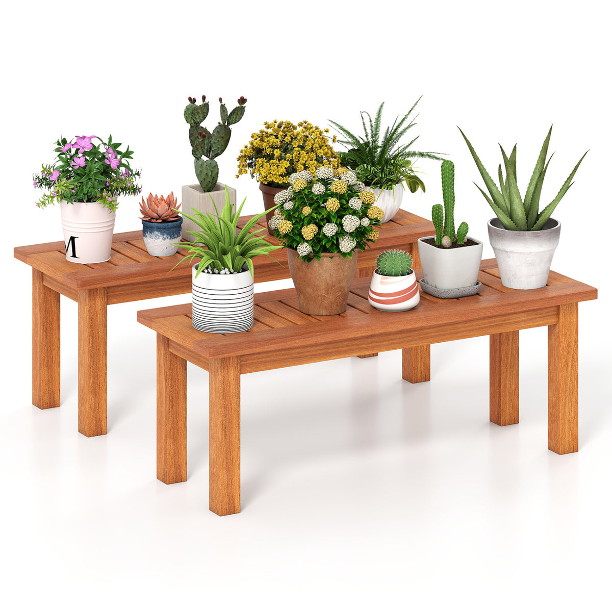 Two wooden plant stands arranged at different heights, displaying an assortment of potted plants.