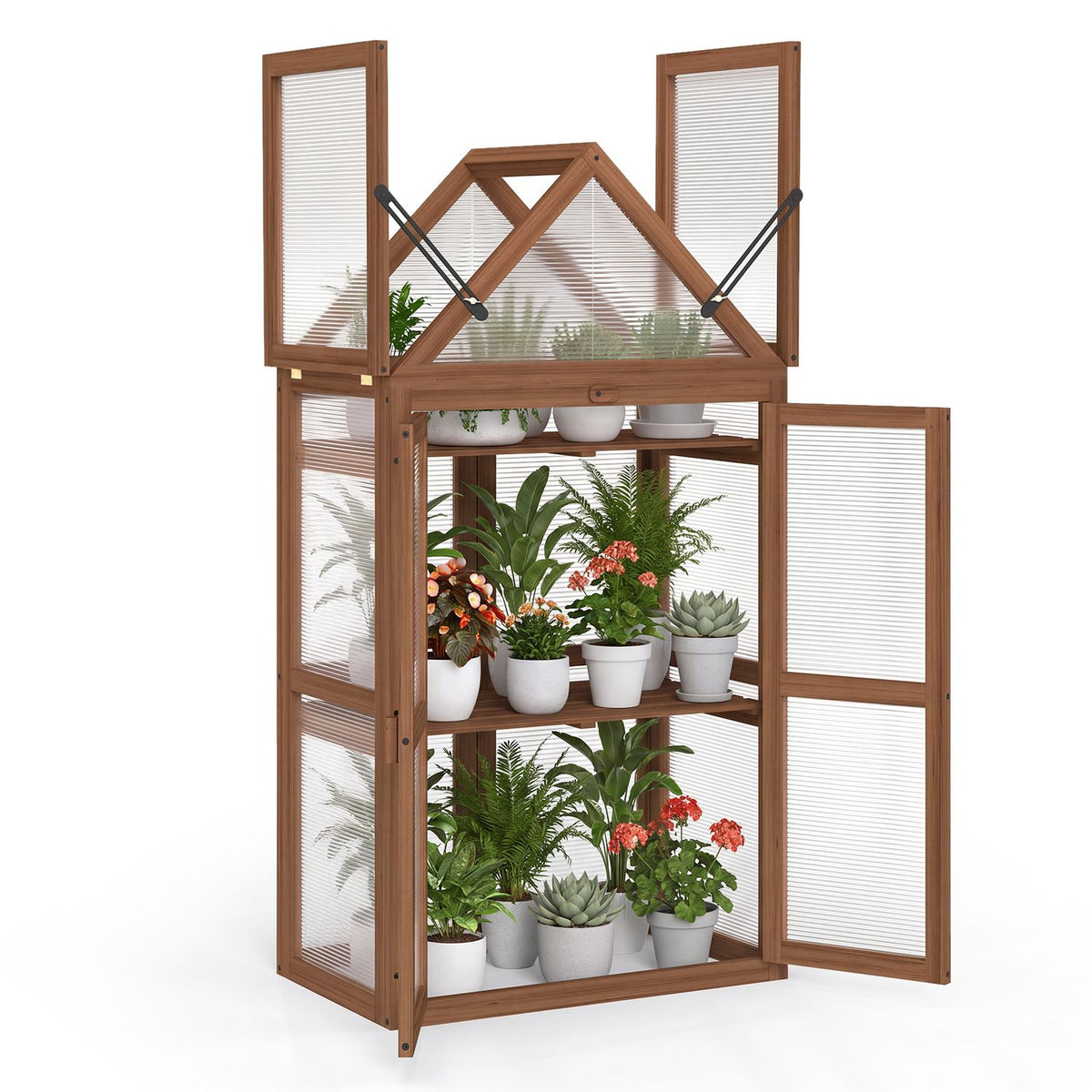 Open wood-framed greenhouse stocked with potted plants on its interior shelves.