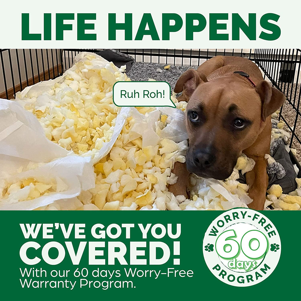 Small brown dog sitting amid shredded foam inside a crate, overlaid by green warranty graphics
