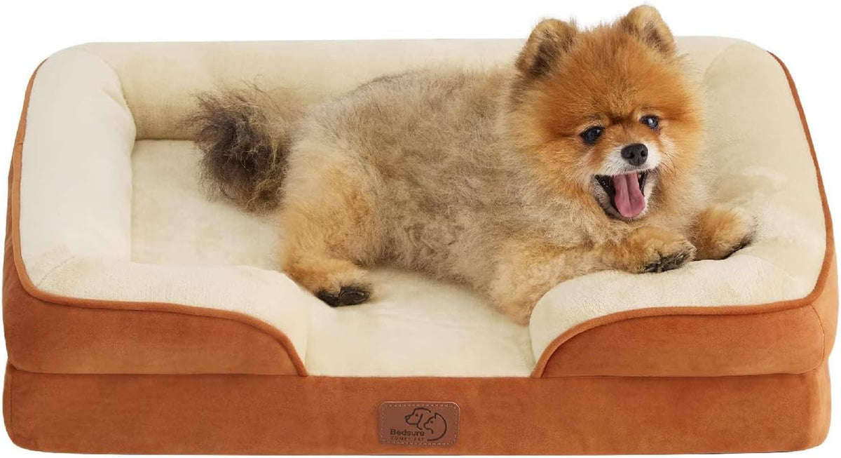 Small fluffy tan dog lying in a tan and cream bolstered rectangular dog bed, front cutout visible