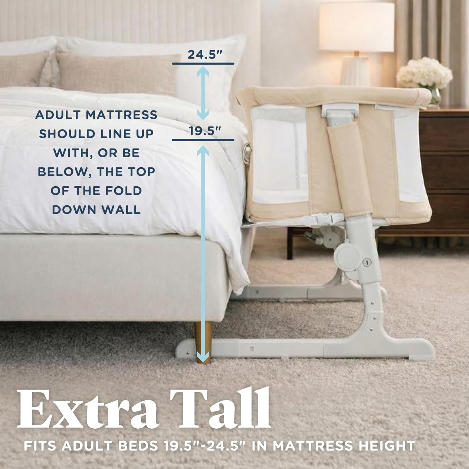 Side shot of the bassinet next to a bed showing adjustable height with measurement graphics.