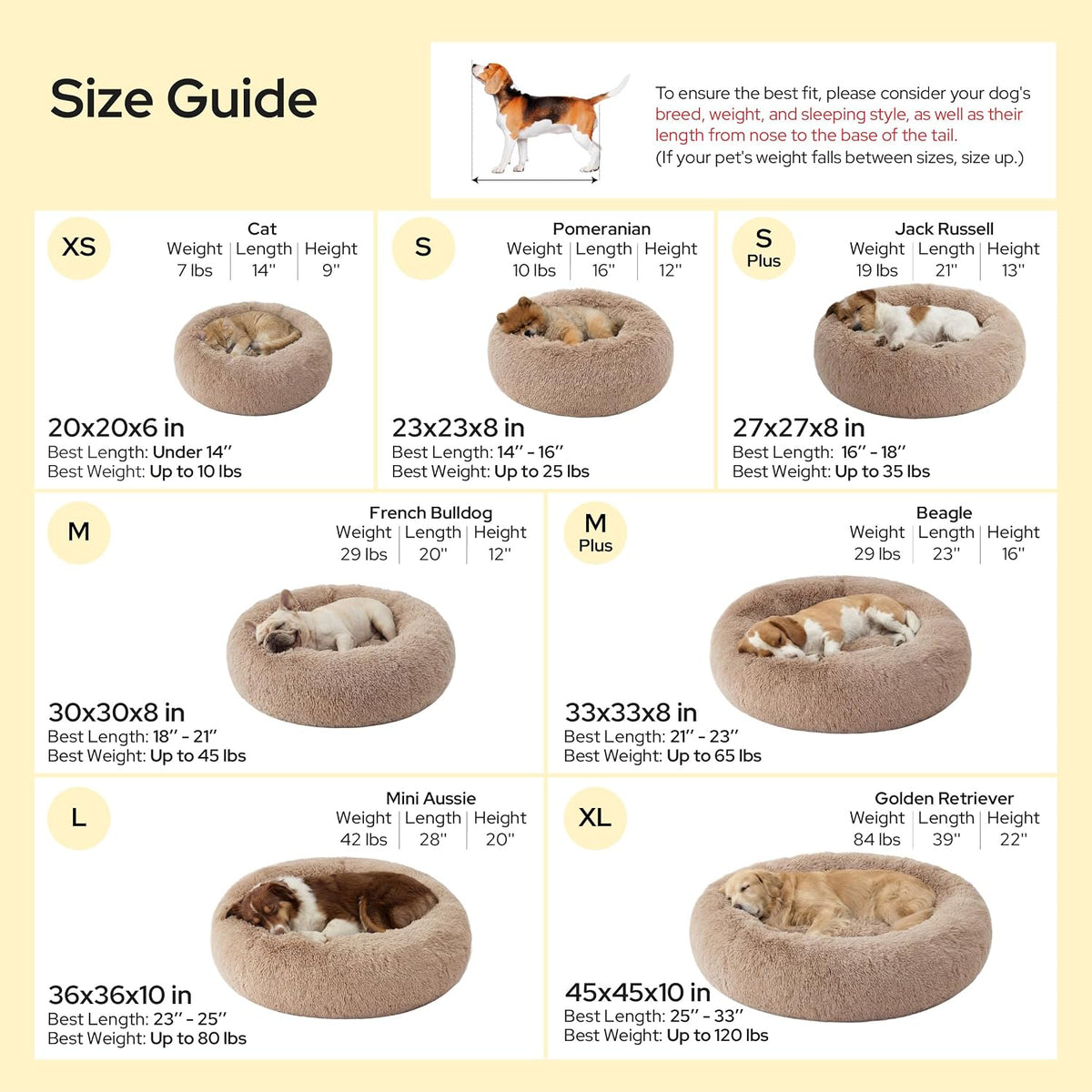 Grid of dog bed sizes with photos of various dogs curled in round faux-fur donut beds.