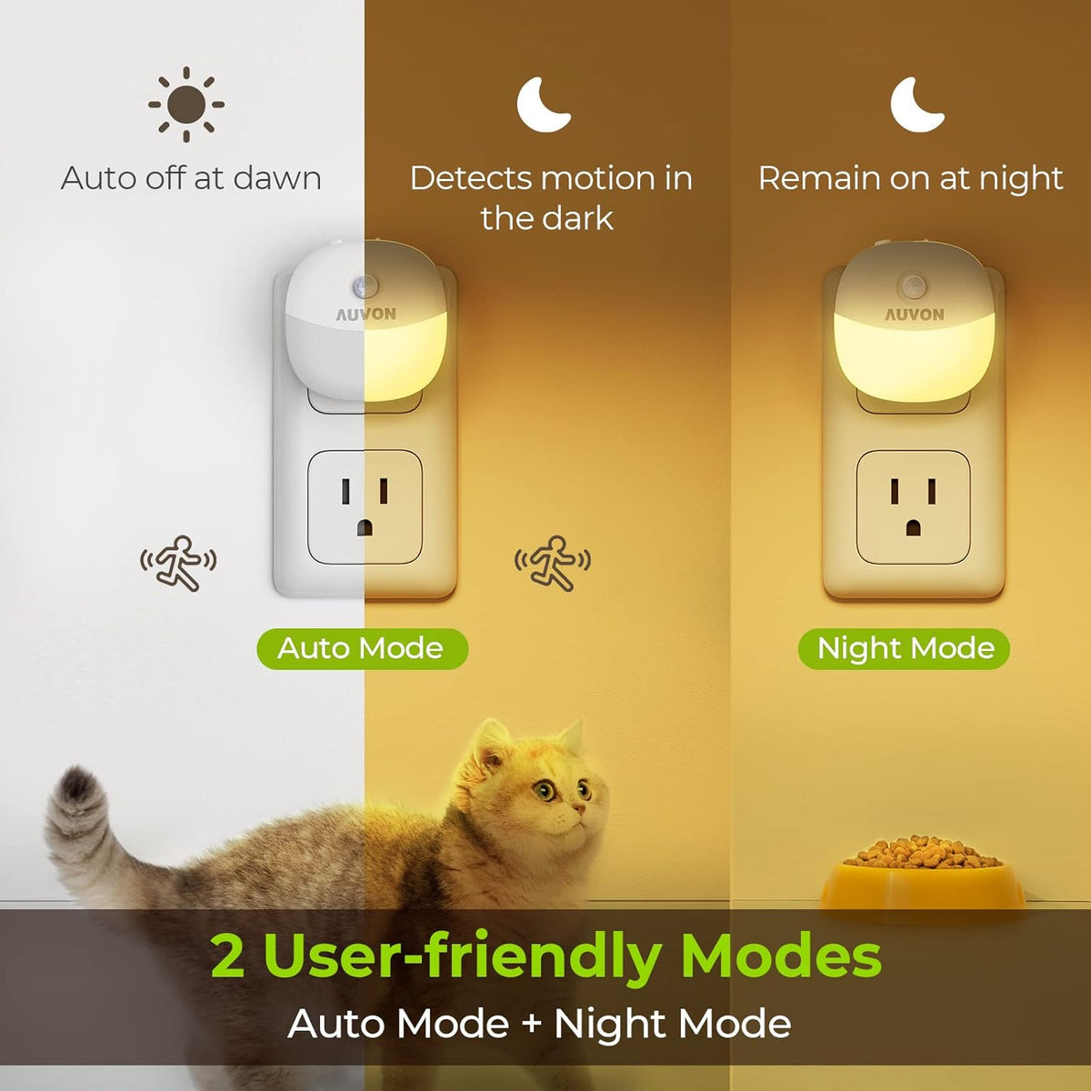 Split scene showing a night light in Auto mode on left and Night mode on right with a cat below.