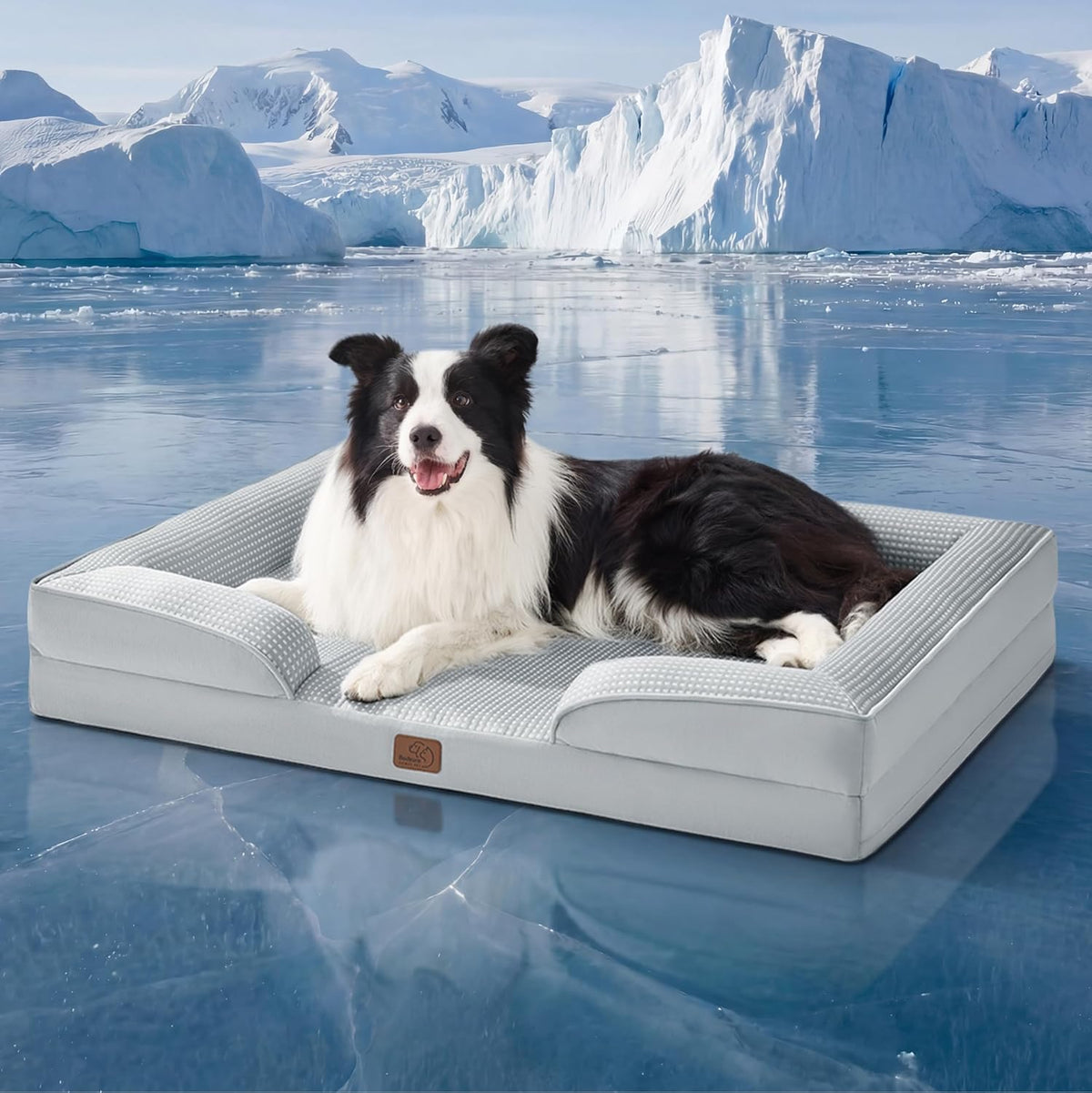 Light gray bolster bed placed on an icy surface with a black-and-white border collie and glacier background.