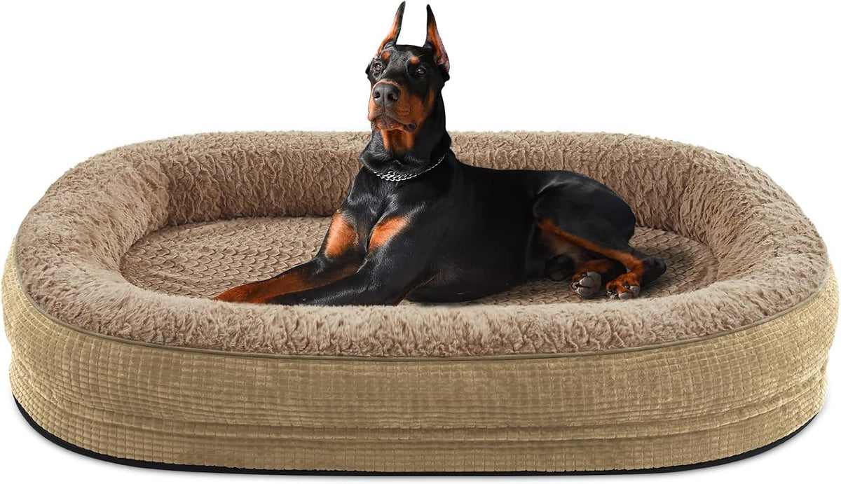 Doberman sitting alert inside a tan oval bolster dog bed, front legs extended.