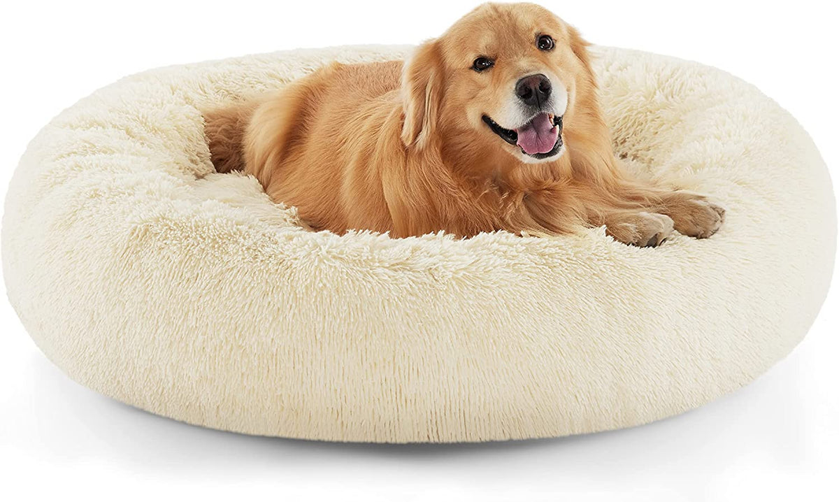 Low-angle close-up of a cream faux-fur donut bed with a golden retriever smiling inside