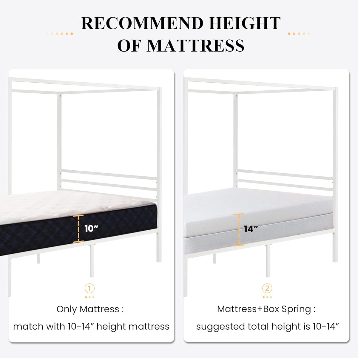 Side-by-side illustrations of a white canopy frame with a thinner mattress on the left and a thicker mattress on the right.