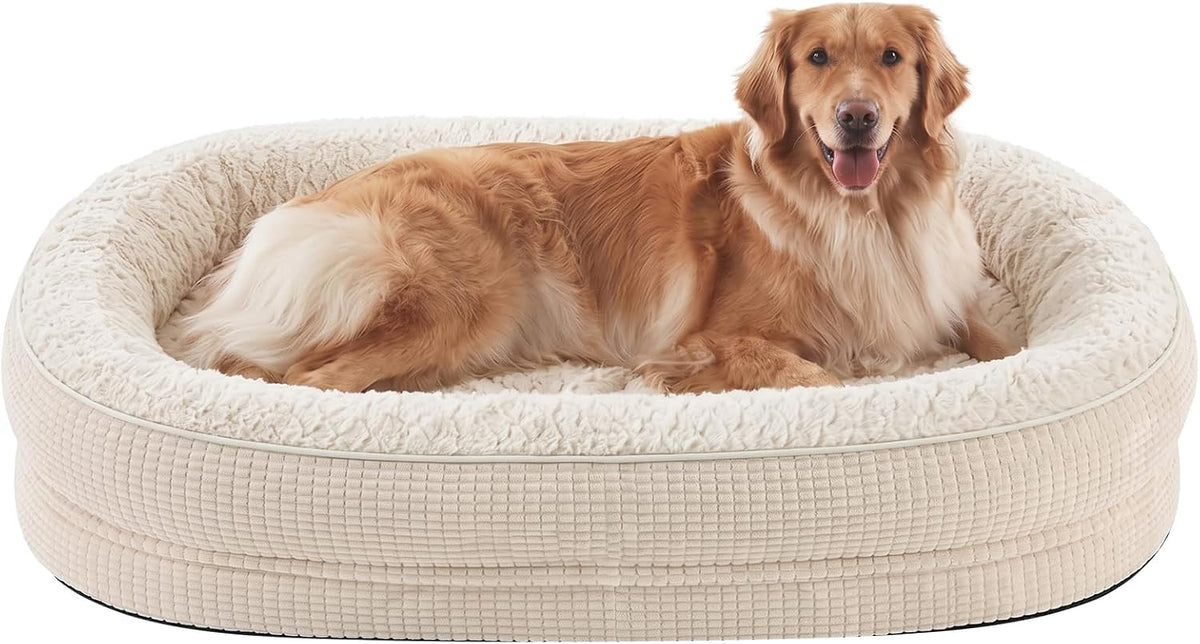 Cream oval bolster dog bed with a golden retriever lying and facing forward