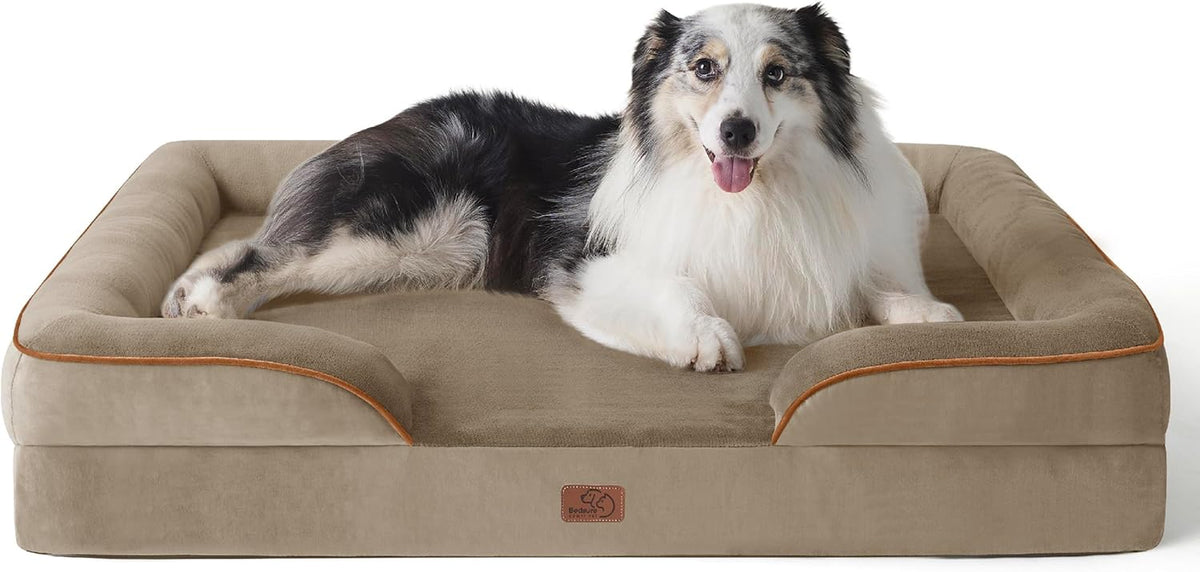 Black-and-white dog lying in a tan rectangular dog bed with contrasting brown piping