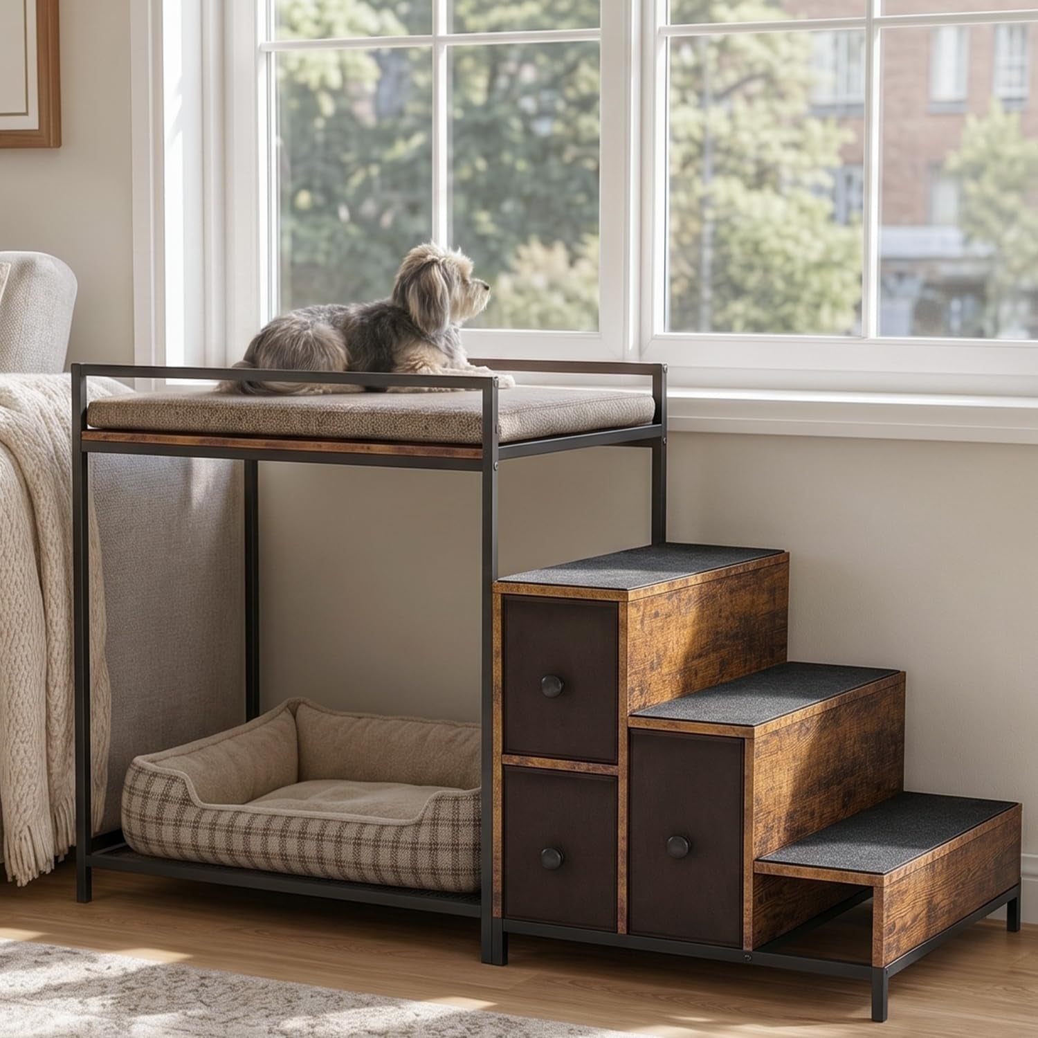 Elevated pet bunk by a window with a small dog on the top cushion, wood-tone stepped storage to the right.