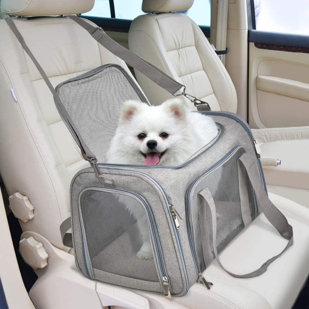 Carrier secured on a car passenger seat with a small white dog poking its head out of the top opening.