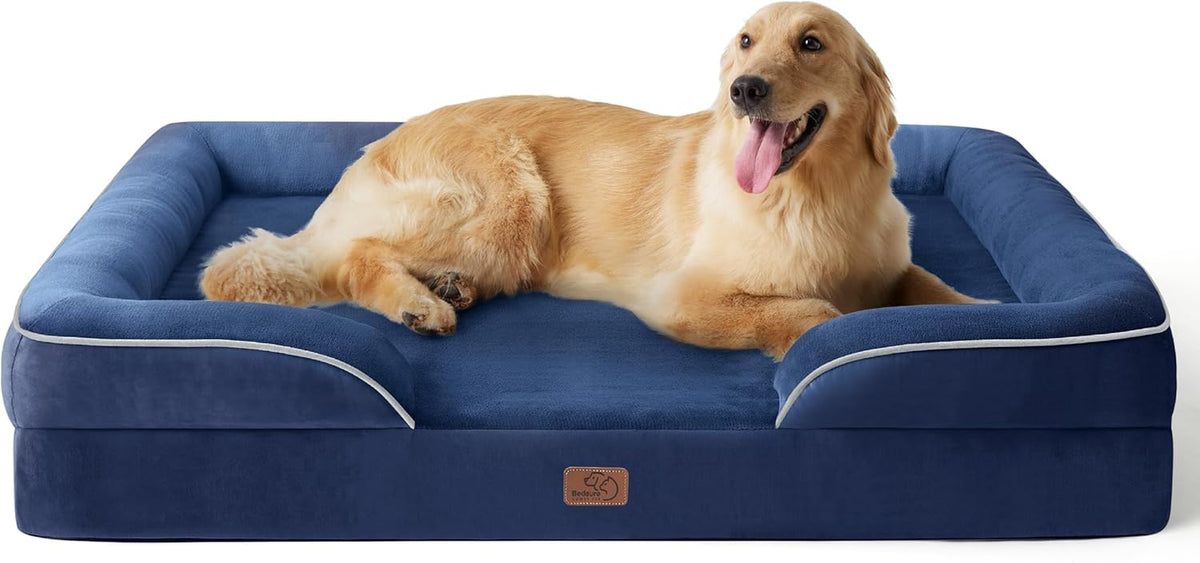 Deep blue orthopedic dog bed with white piping and a golden retriever lounging on top