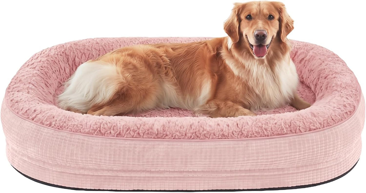 Golden retriever lying in a pink oval bolster dog bed, front view showing raised rim.