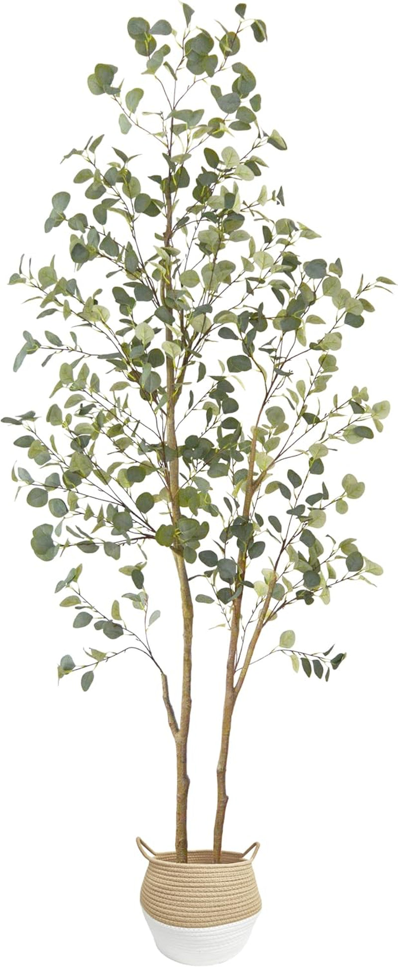 Front view of a tall eucalyptus arrangement with two main stems placed inside a two-tone woven basket.