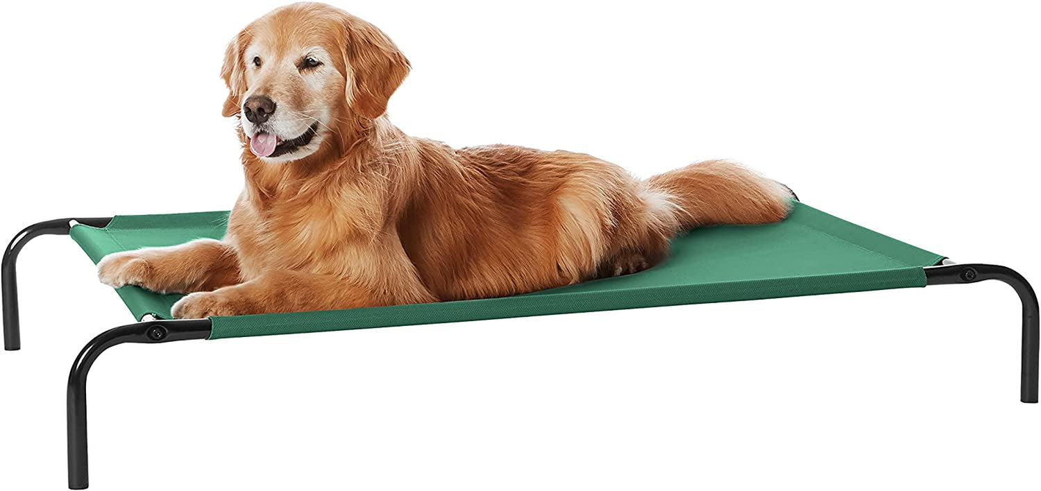 Golden retriever lying comfortably on the elevated green pet bed with black rounded metal legs.