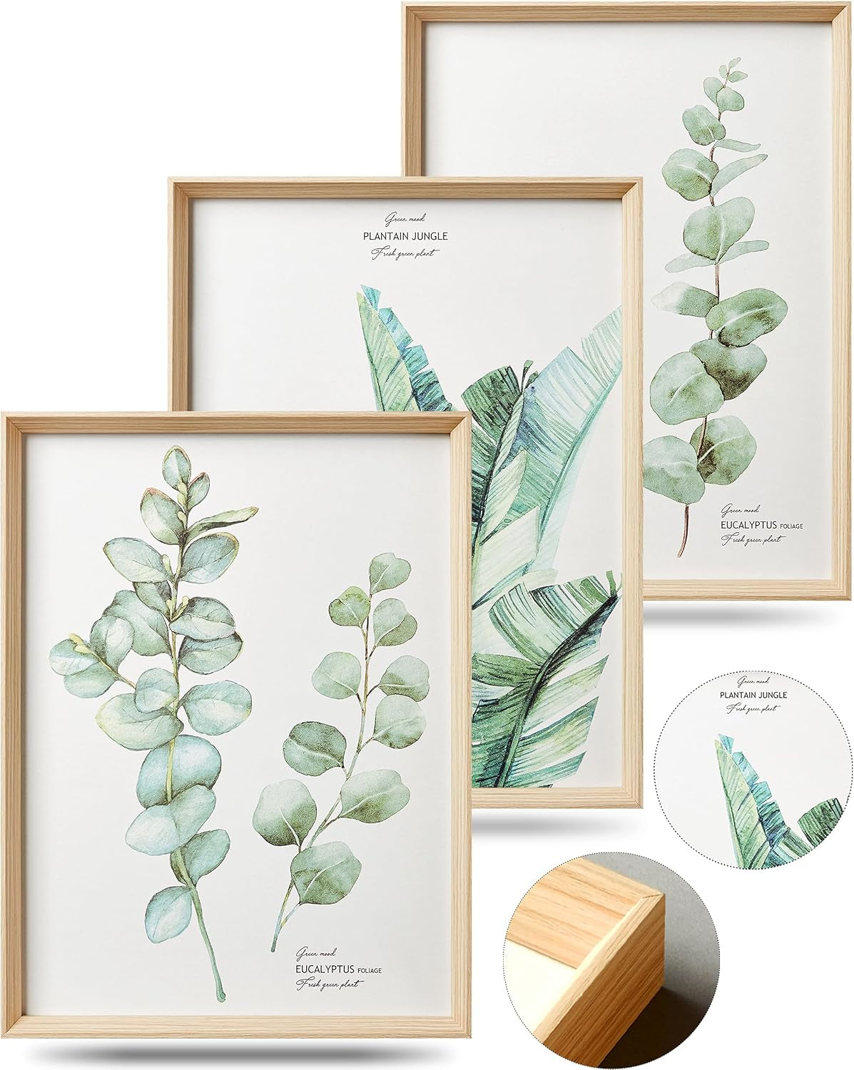 Three overlapping light-wood framed botanical prints with eucalyptus and banana leaf watercolors and a round inset showing