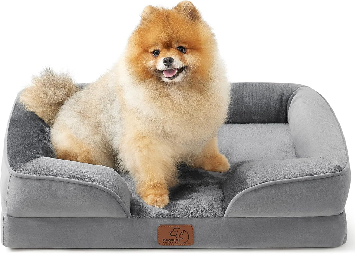 Small fluffy Pomeranian sitting on a light gray bolstered rectangular dog bed, front view.