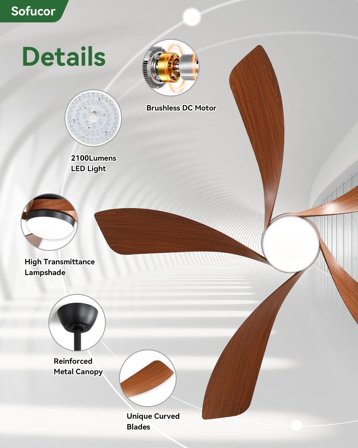 Close-up view of five curved wood-tone blades and the central light, plus circular callouts of motor, lampshade, and canopy.