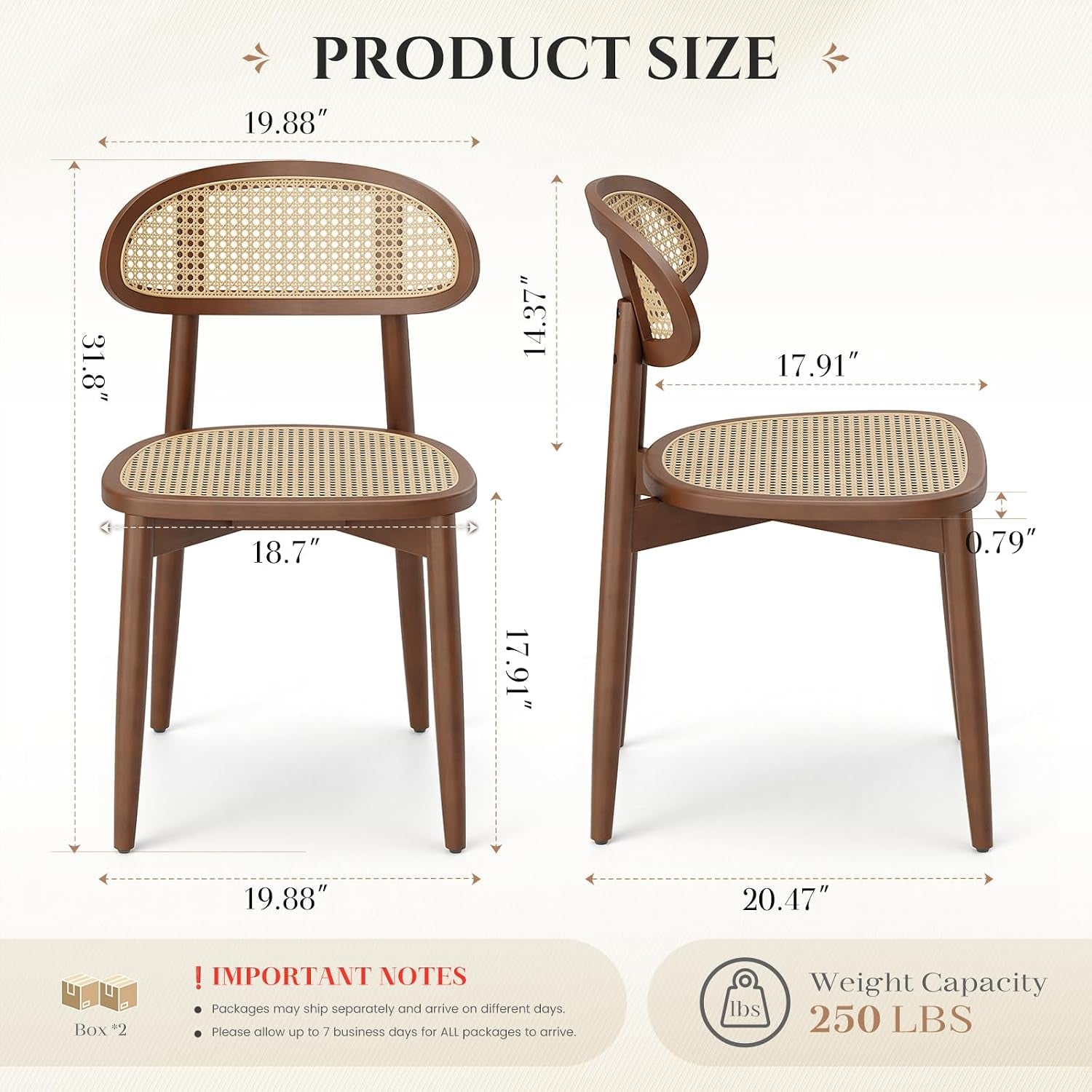 Front and side product diagram of a rattan dining chair showing dimensions and profile in walnut
