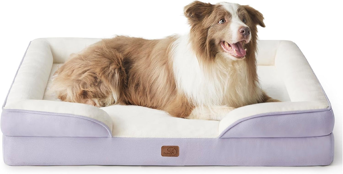 Happy brown-and-white dog reclining in a lavender bolster bed with cream cushion.