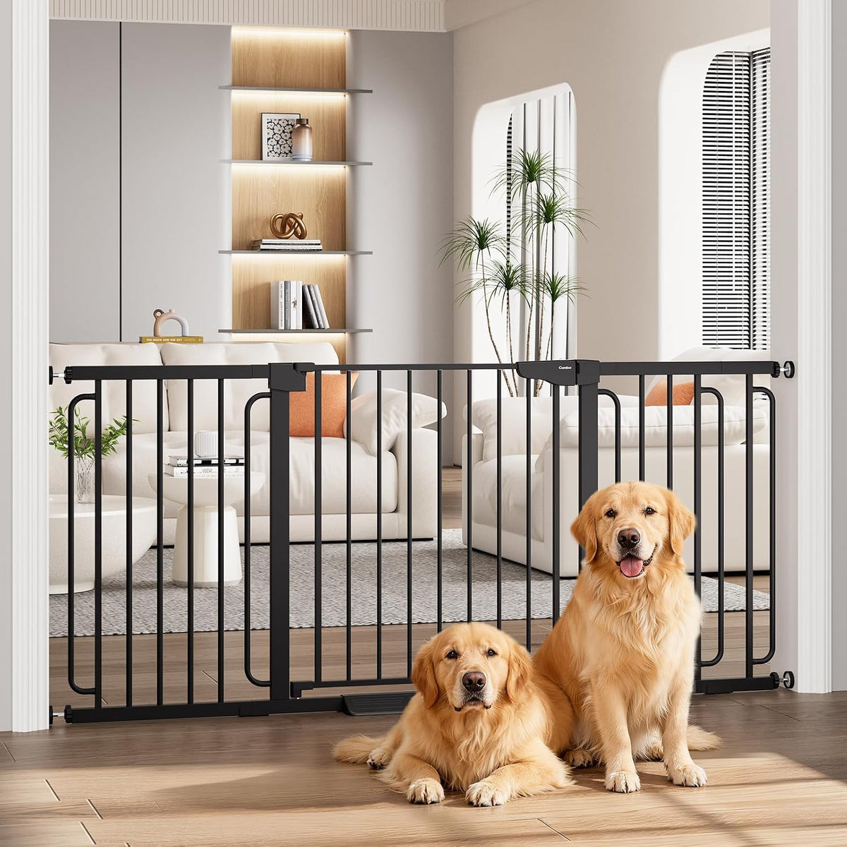 Black metal safety gate installed in a doorway with two golden retrievers sitting in front