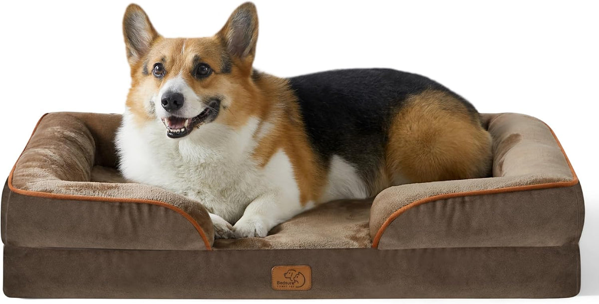 Chocolate-brown bolster bed with orange piping, a corgi curled up and smiling in the low-front opening.