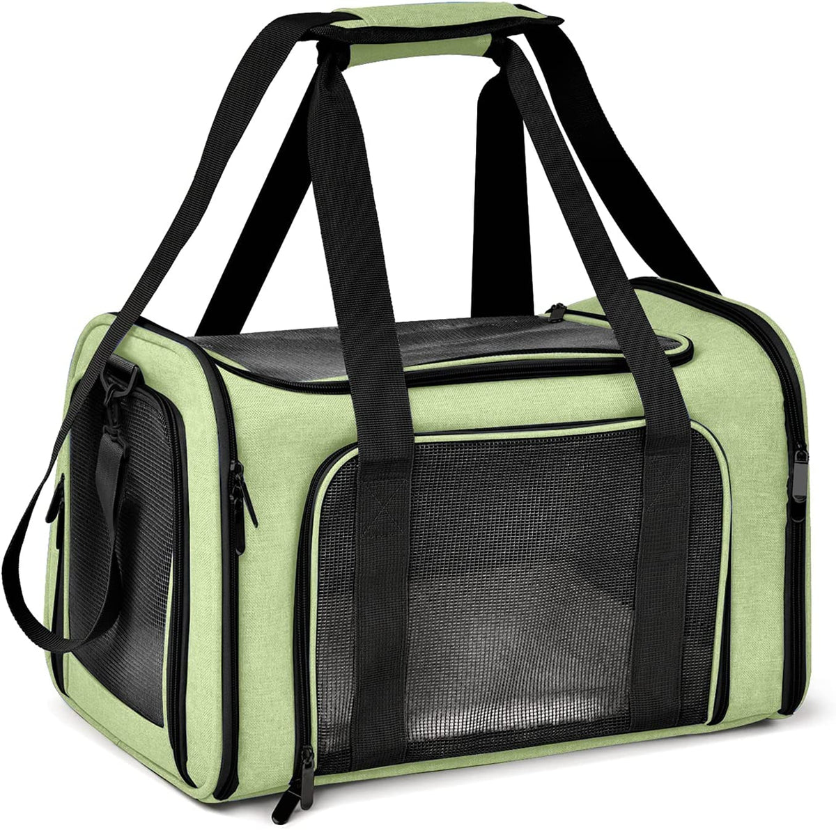 Light green pet carrier shown from an angle highlighting mesh panels and dual carry straps.