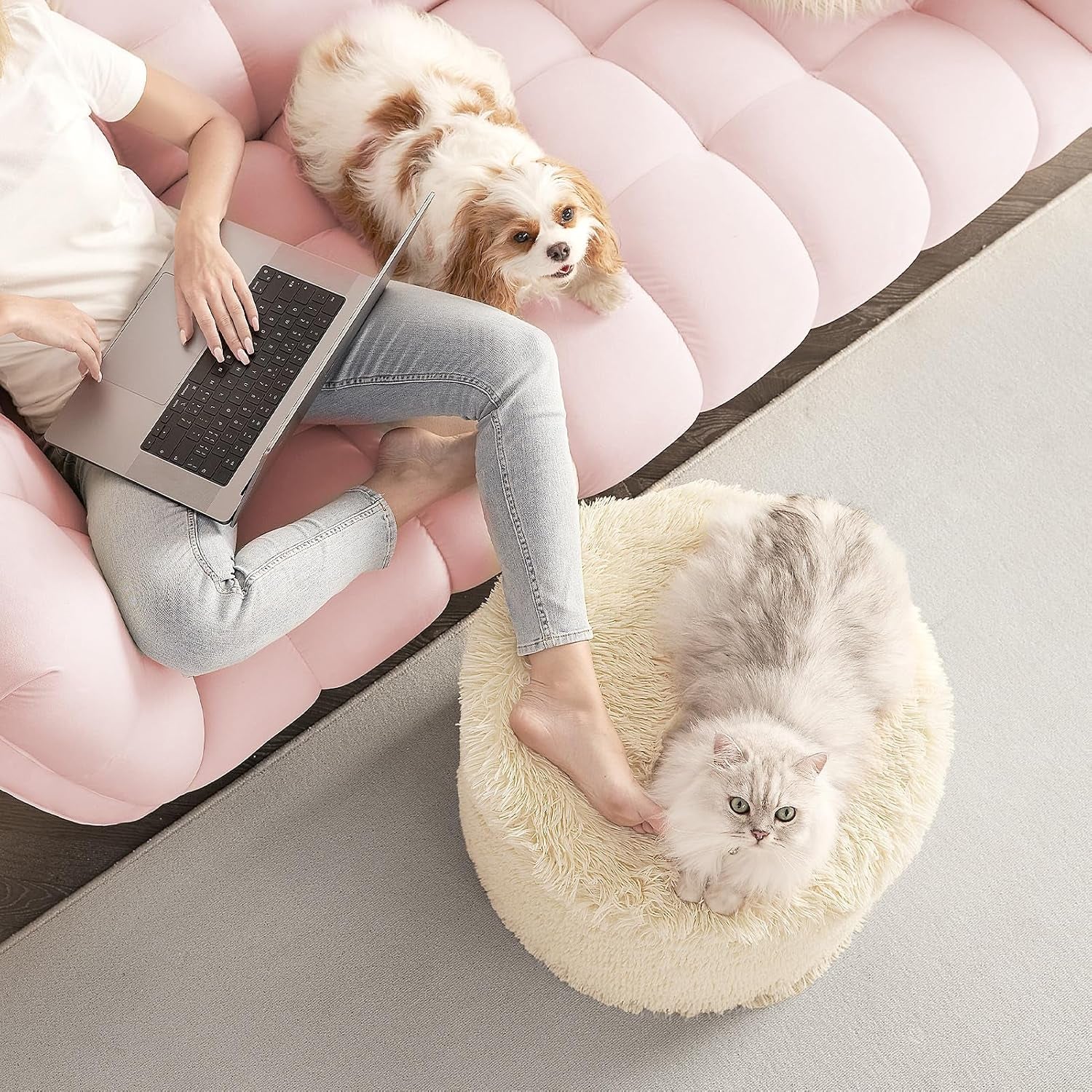 Top-down living room scene showing a round beige pouf with a fluffy cat on it, a person on a pink sofa with a laptop and a