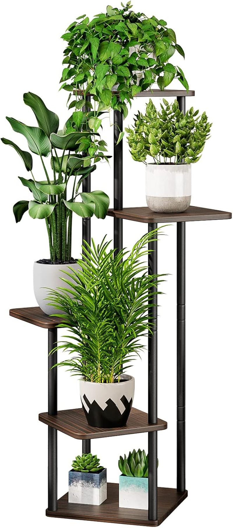 Tall cropped shot of staggered dark wood shelves and black legs with plants occupying each level