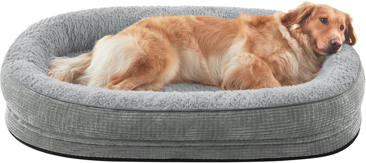 Front view of a grey oval bolstered dog bed with a golden retriever resting on the raised rim.