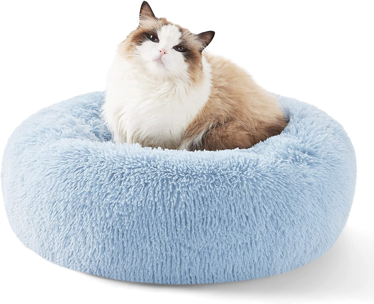 Fluffy brown-and-white cat sitting upright in a light-blue round plush donut bed photographed close-up.