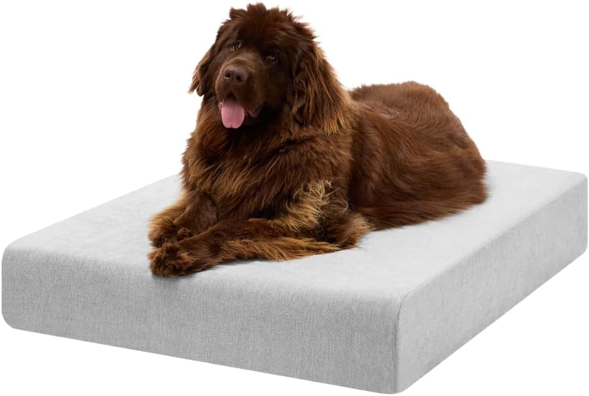 Large brown dog reclining on a rectangular pale gray dog bed, front-right view.