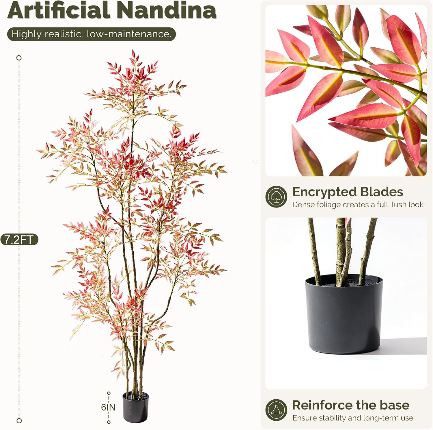 Full-height product diagram of the nandina in a small black base with inset close-ups of foliage and the reinforced pot.