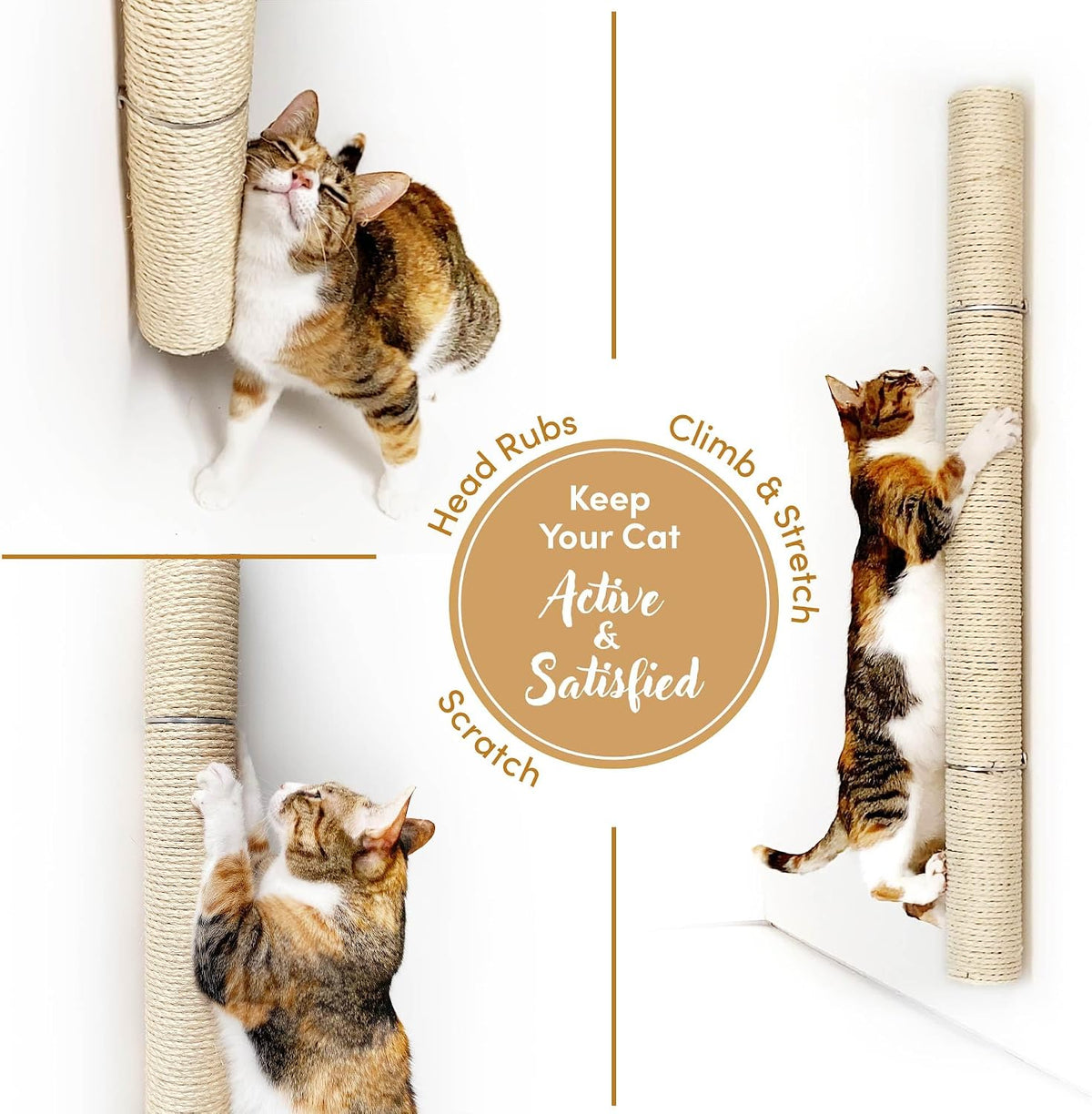 Collage of a cat rubbing and climbing a vertically mounted sisal scratching post on a white wall.
