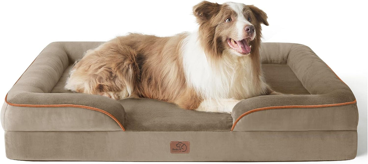 Long-haired brown and white dog lying on a taupe rectangular bolster dog bed with orange trim.