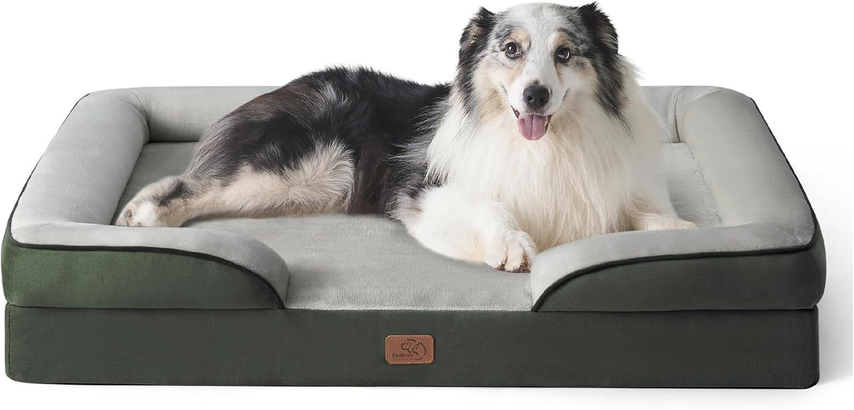 Dark green bolster bed with light-gray sleeping surface; a black-and-white dog reclining inside, front view.