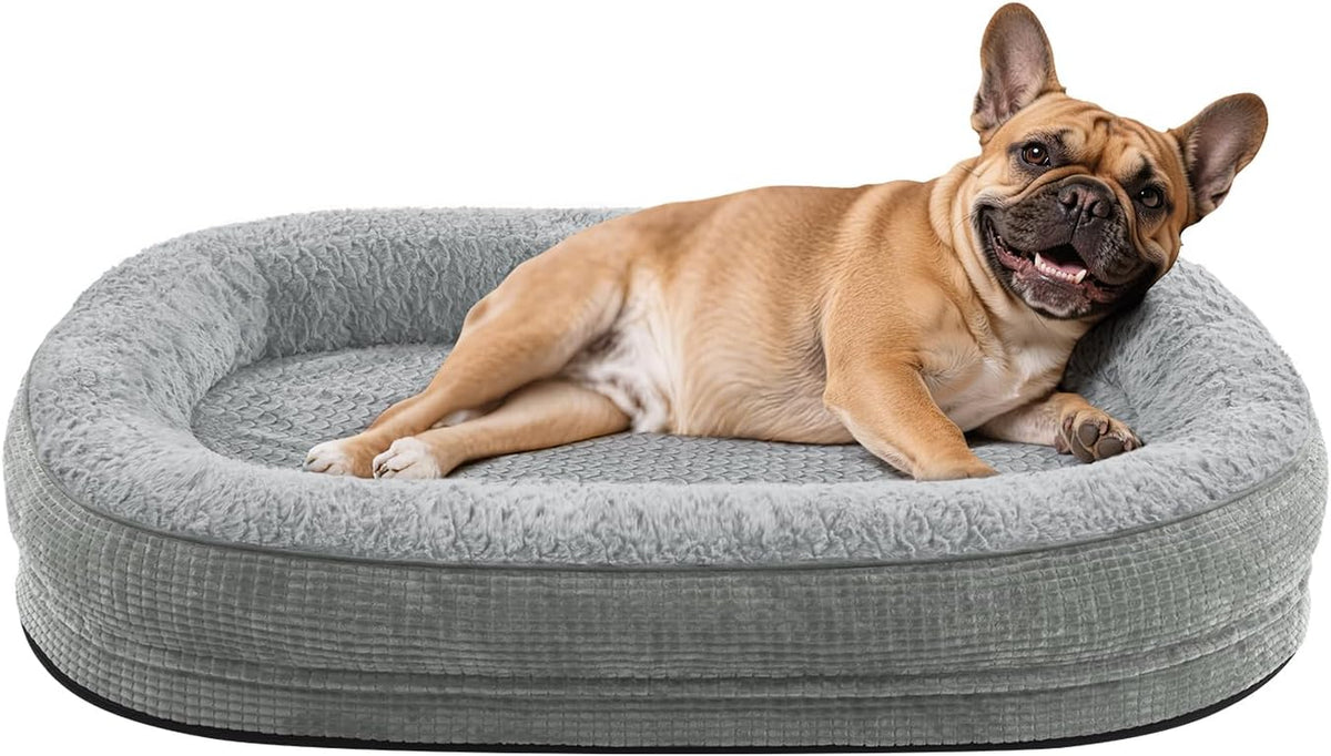 Light gray oval bolster dog bed with a smiling fawn French bulldog
