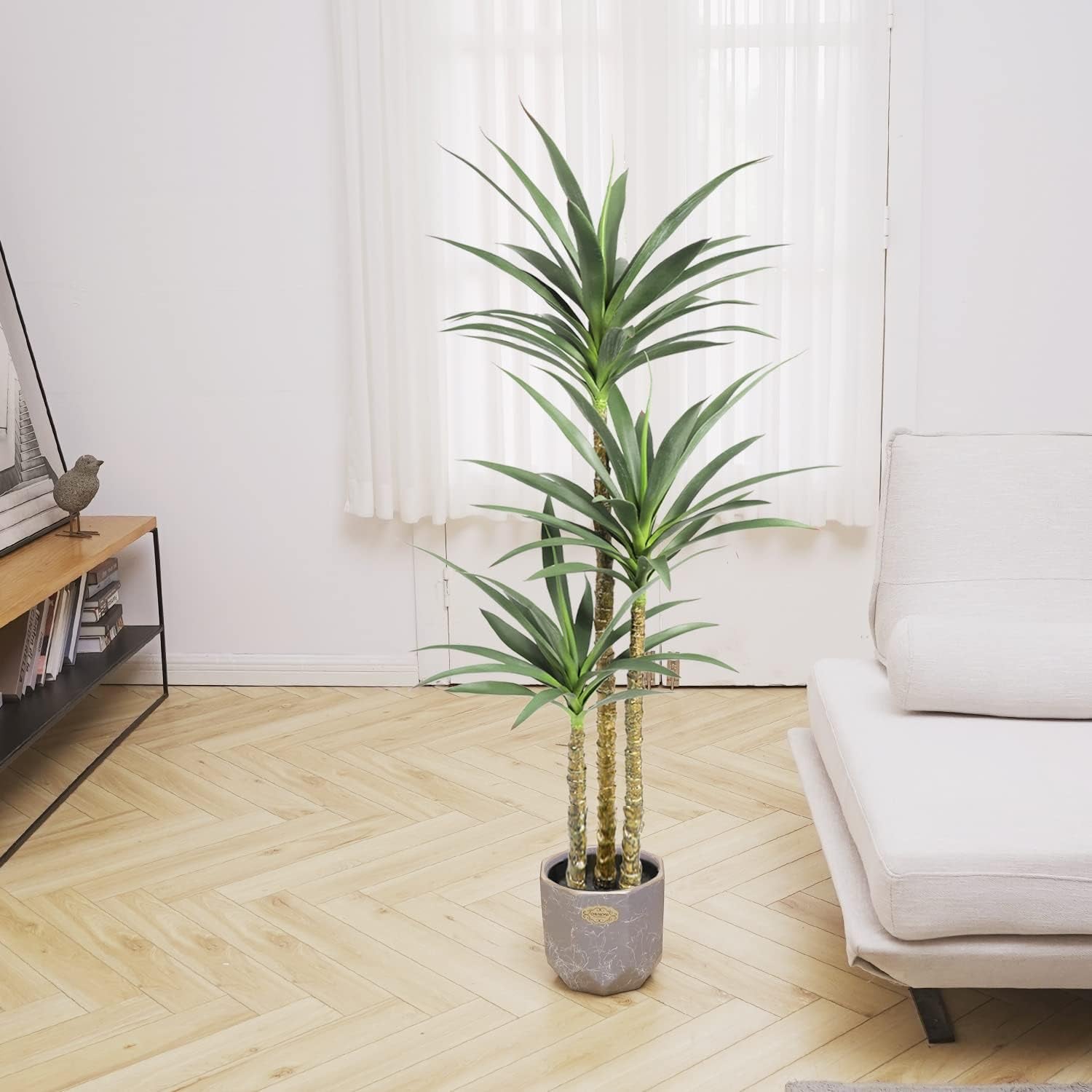 Agave plant centered on a herringbone wood floor in front of sheer white curtains and a low sofa edge.