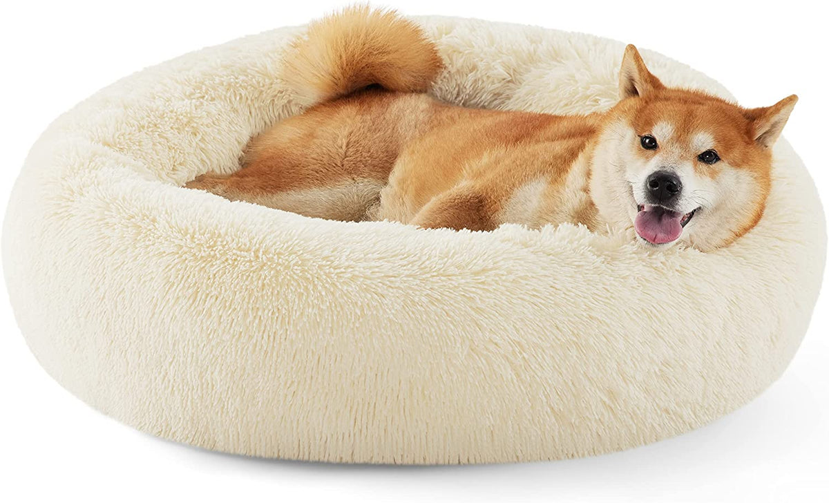 Angled side view of a fluffy cream donut bed with a Shiba Inu lying inside, tail curled over the rim